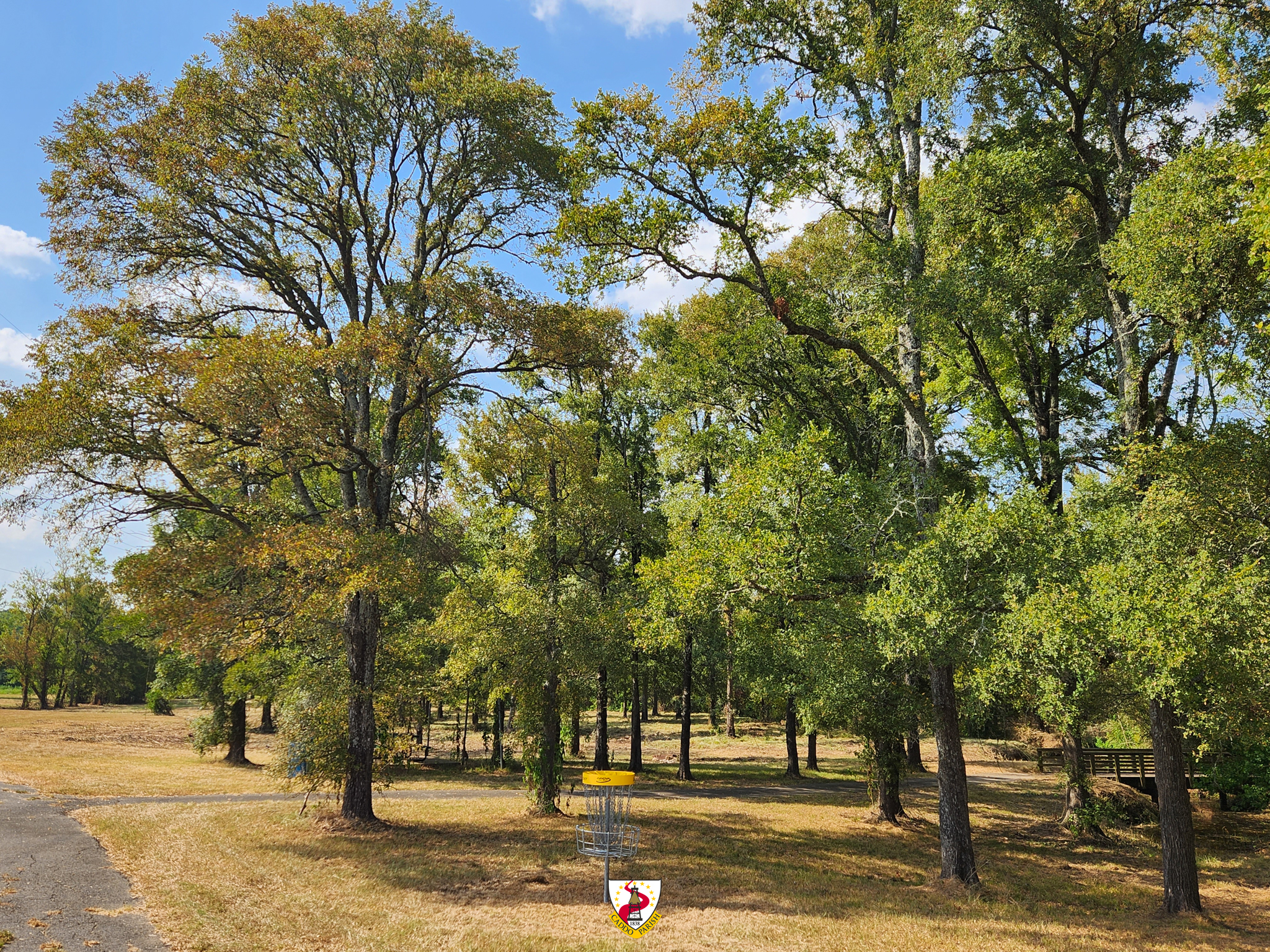 Featured image for “Caddo Parks and Recreation and Shreveport-Bossier Disc Golf Union Present Inaugural Disc Golf Tournament”